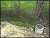 DSC01431.JPG