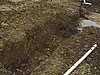 DSC01101.JPG