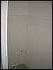 DSC01390.JPG