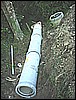 DSC01482.JPG