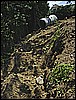 DSC01487.JPG