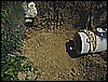 DSC01489.JPG