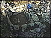 DSC01493.JPG