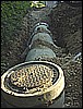 DSC01506.JPG