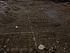 DSC01110.JPG
