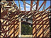 DSC01198.JPG