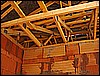 DSC01204.JPG