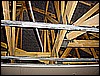 DSC01261.JPG