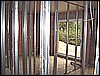 DSC01271.JPG